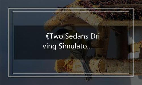 《Two Sedans Driving Simulator》游戏库