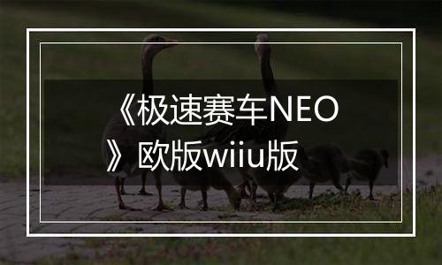 《极速赛车NEO》欧版wiiu版