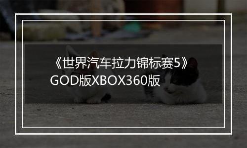 《世界汽车拉力锦标赛5》 GOD版XBOX360版