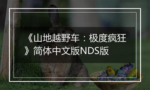 《山地越野车:极度疯狂》简体中文版NDS版