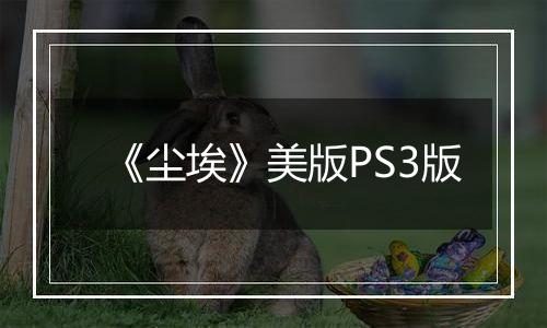 《尘埃》美版PS3版