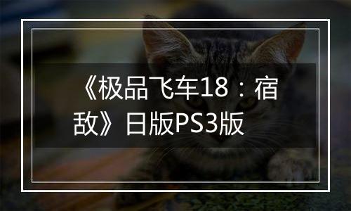 《极品飞车18：宿敌》日版PS3版