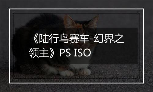 《陆行鸟赛车-幻界之领主》PS ISO