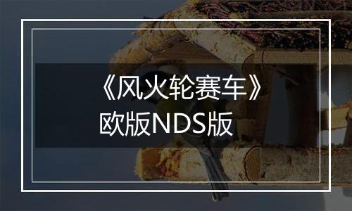 《风火轮赛车》 欧版NDS版