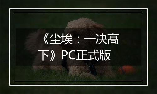 《尘埃:一决高下》PC正式版