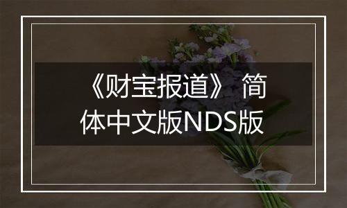 《财宝报道》 简体中文版NDS版
