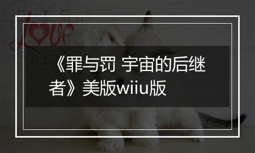 《罪与罚 宇宙的后继者》美版wiiu版