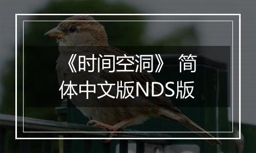 《时间空洞》 简体中文版NDS版