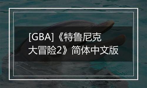 [GBA]《特鲁尼克大冒险2》简体中文版