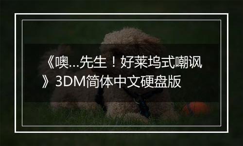 《噢…先生！好莱坞式嘲讽》3DM简体中文硬盘版