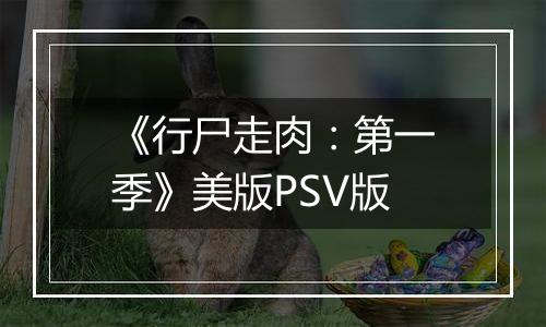 《行尸走肉：第一季》美版PSV版