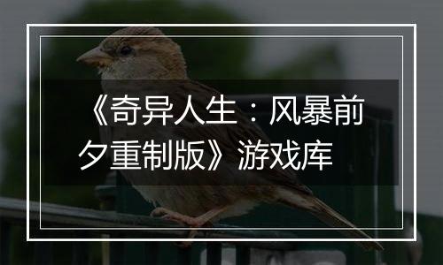 《奇异人生：风暴前夕重制版》游戏库