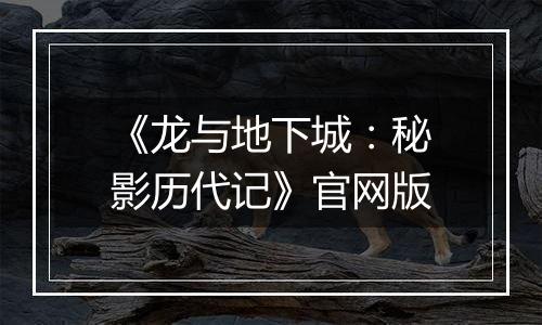 《龙与地下城：秘影历代记》官网版