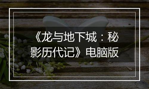 《龙与地下城：秘影历代记》电脑版