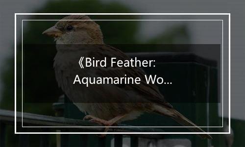 《Bird Feather: Aquamarine World》游戏库