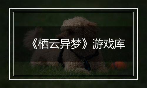 《栖云异梦》游戏库