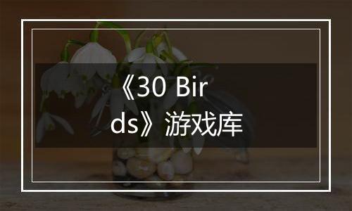 《30 Birds》游戏库