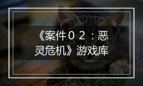 《案件０２：恶灵危机》游戏库