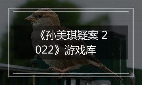 《孙美琪疑案 2022》游戏库