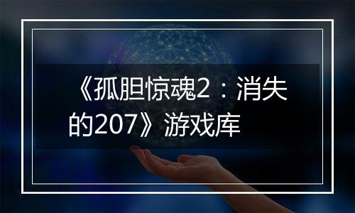 《孤胆惊魂2：消失的207》游戏库