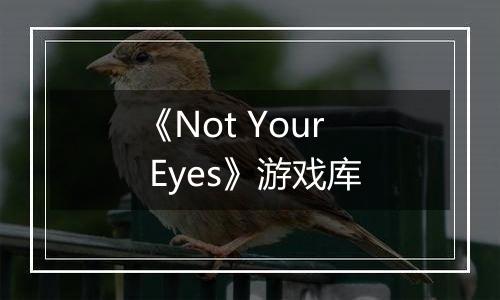 《Not Your Eyes》游戏库