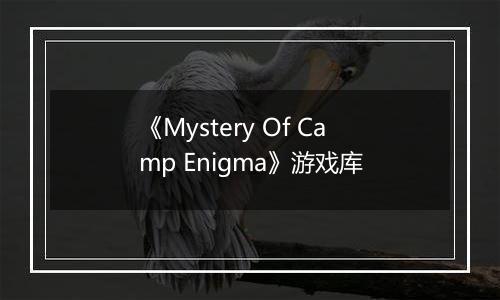 《Mystery Of Camp Enigma》游戏库