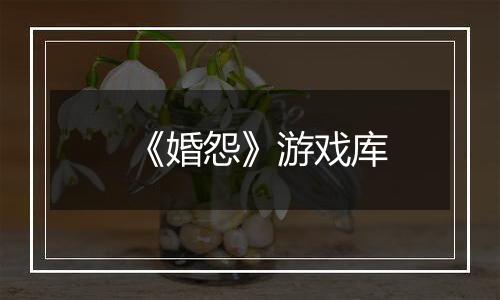 《婚怨》游戏库