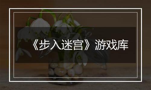 《步入迷宫》游戏库