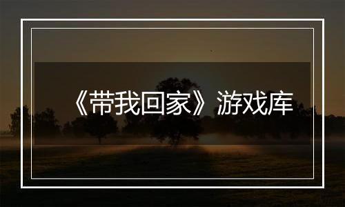 《带我回家》游戏库