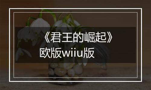 《君王的崛起》欧版wiiu版