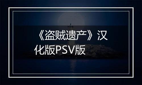《盗贼遗产》汉化版PSV版