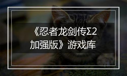 《忍者龙剑传Σ2加强版》游戏库