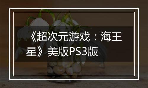 《超次元游戏:海王星》美版PS3版