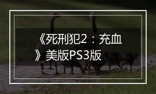 《死刑犯2：充血》美版PS3版