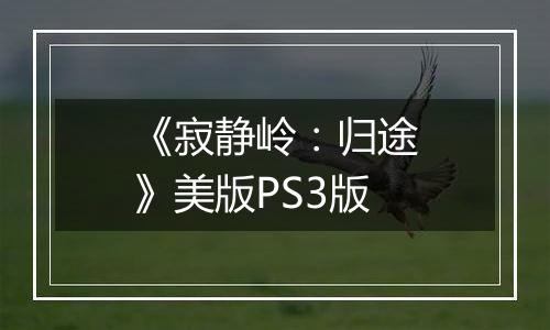 《寂静岭：归途》美版PS3版