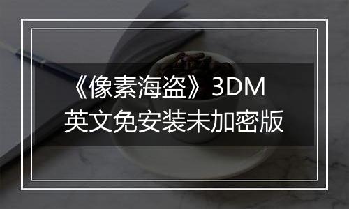 《像素海盗》3DM英文免安装未加密版