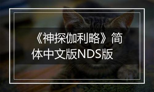 《神探伽利略》简体中文版NDS版