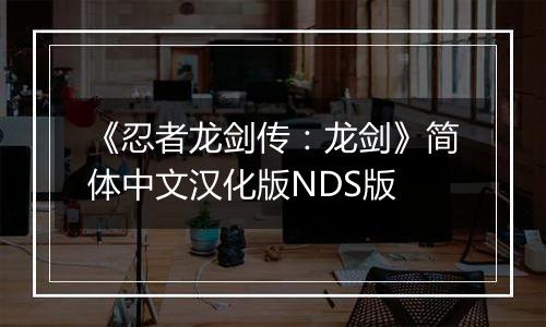 《忍者龙剑传：龙剑》简体中文汉化版NDS版