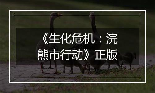 《生化危机:浣熊市行动》正版