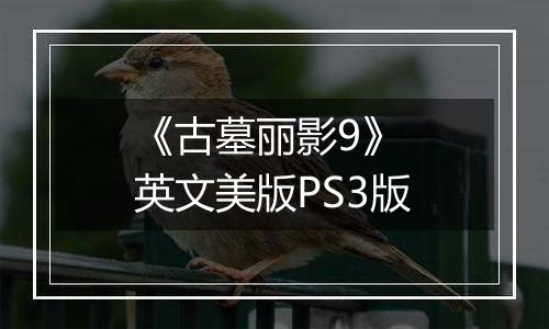 《古墓丽影9》 英文美版PS3版