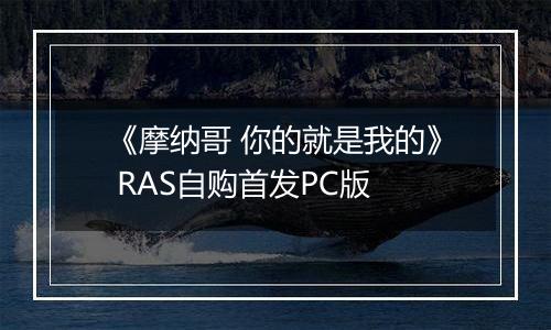 《摩纳哥 你的就是我的》 RAS自购首发PC版