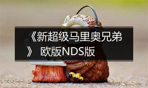 《新超级马里奥兄弟》 欧版NDS版