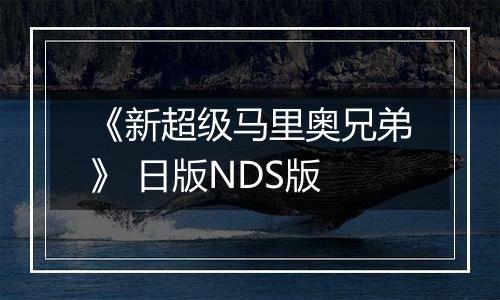 《新超级马里奥兄弟》 日版NDS版