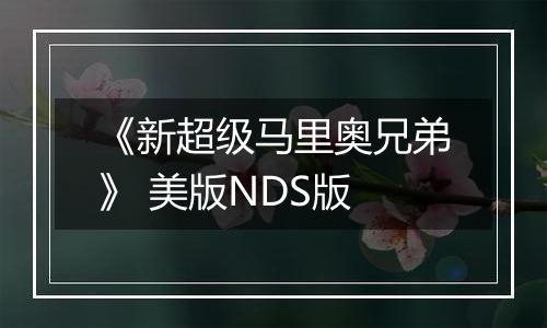 《新超级马里奥兄弟》 美版NDS版