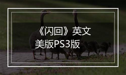 《闪回》英文美版PS3版
