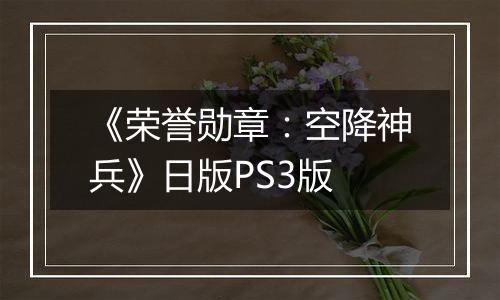 《荣誉勋章：空降神兵》日版PS3版
