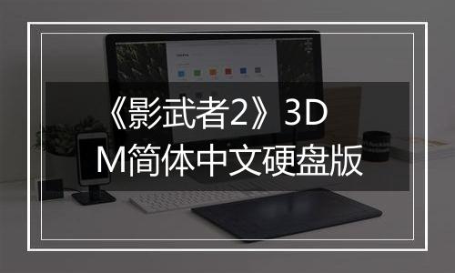 《影武者2》3DM简体中文硬盘版