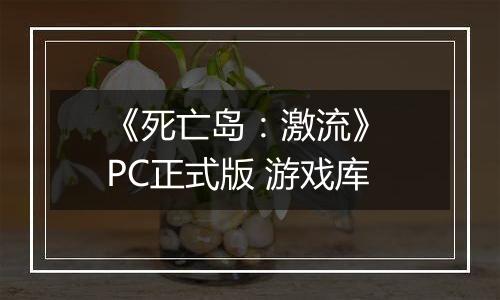 《死亡岛：激流》 PC正式版 游戏库