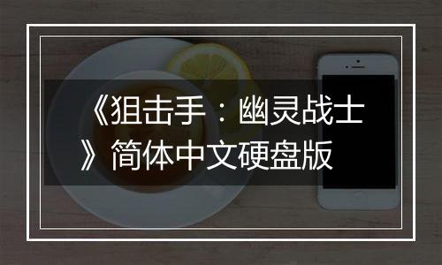 《狙击手：幽灵战士》简体中文硬盘版