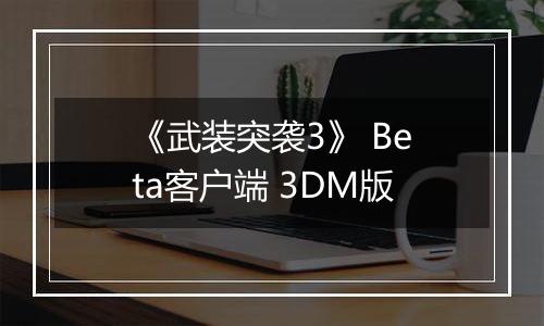 《武装突袭3》 Beta客户端 3DM版